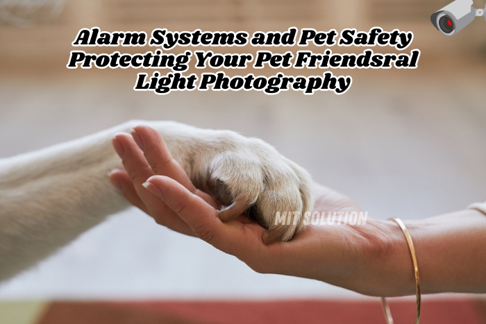 MIT Solution in Dindigul offers advanced alarm systems for pet safety Protect your furry friends with smart security solutions